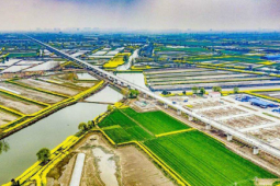 連淮揚鎮(zhèn)鐵路揚州段鋪軌全部結束